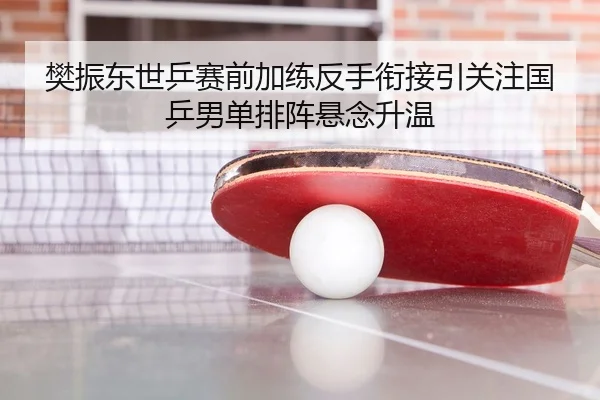 樊振东世乒赛前加练反手衔接引关注国乒男单排阵悬念升温